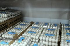 Costco Eggs 24 Counts - September 2021