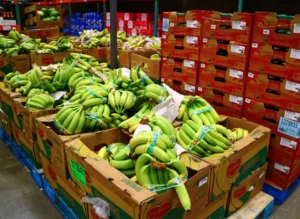 Costco bananas